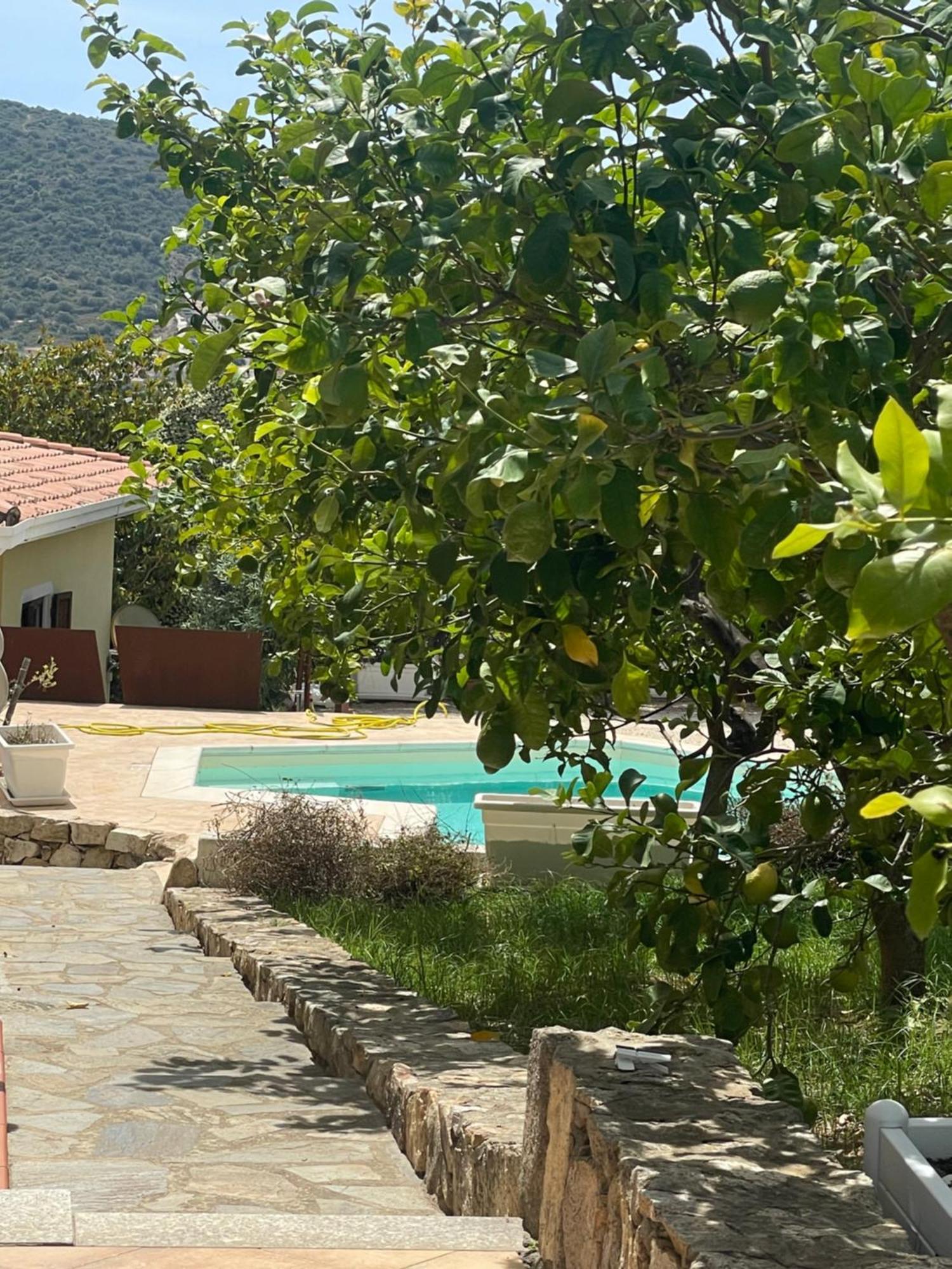 Sa Murta Bianca Guesthouse Budoni Esterno foto